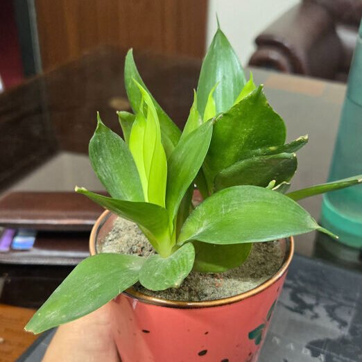 7705aca9-6b1b-4a37-9af8-4ea23b7fb2f0_optimized_100