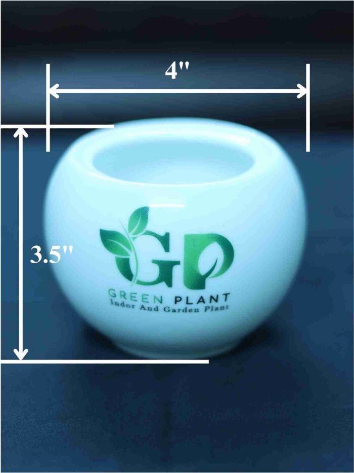 Ceramic Pot (Suger pot) - Image 2
